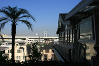 1011 2 IMG_5230.jpg